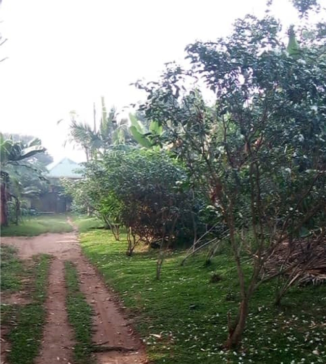 WhatsApp Image 2021-08-30 at 10.22.24.jpg